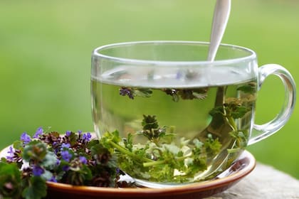 Esta bebida es recomendada para aquellas personas que suelen tener dolores de cuello y espalda recurrentes (imagen ilustrativa)