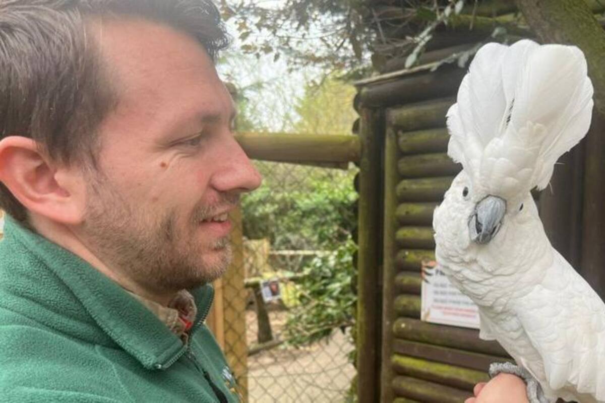 Esta cacatúa fue uno de los primeros animales que Shorter rescató e incorporó a su zoológico