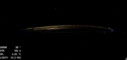 Esta campaña da continuidad a las expediciones Talud Continental I, II y III, realizadas a bordo del Buque Oceanográfico Puerto Deseado del CONICET, que permitieron describir decenas de nuevas especies (Foto: Captura YouTube Schmidt Ocean)