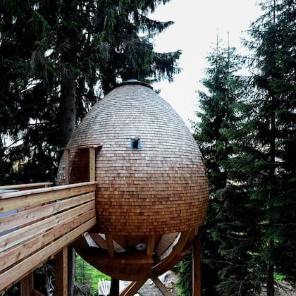 Esta casa del árbol se encuentra en Malborghetto, Italia y fue construida en 2017