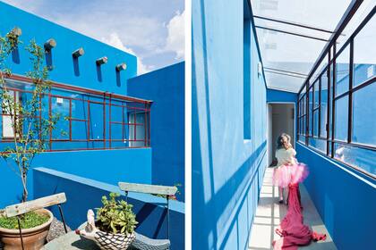 “Esta casa despertó mi fascinación por las plantas, sobre todo las suculentas y las tropicales.