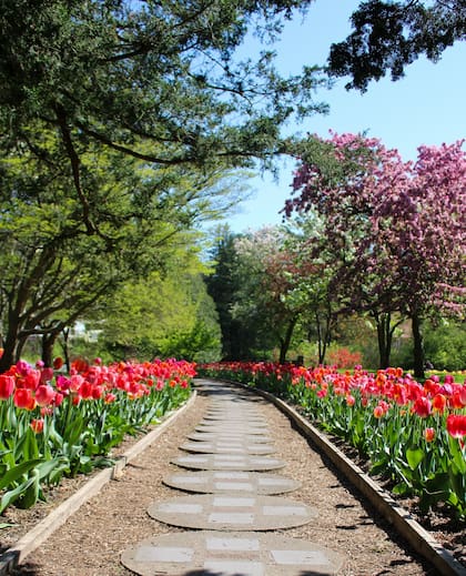 Esta ciudad ofrece numerosas áreas verdes, ideales para paseos y caminatas (Instagram/@majesticmitten)