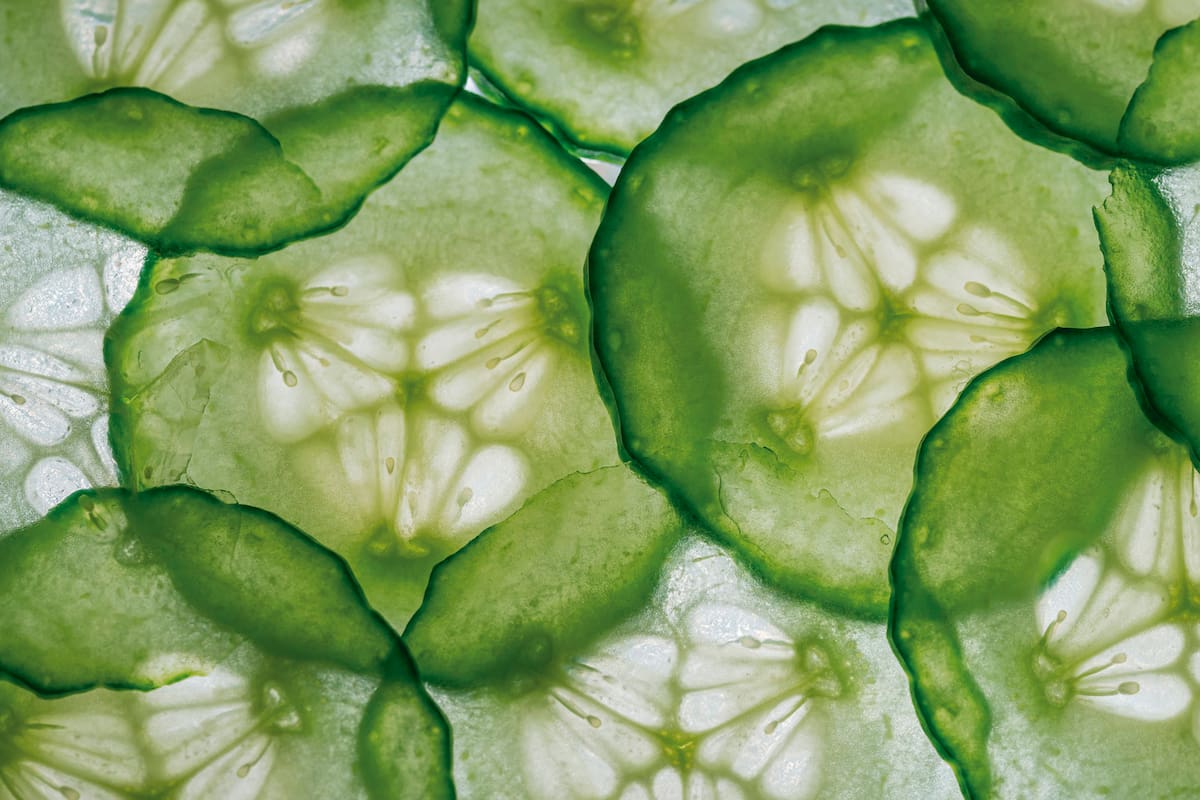 Está compuesto por aproximadamente un 96 % de agua, vitaminas, minerales, fibra y antioxidantes