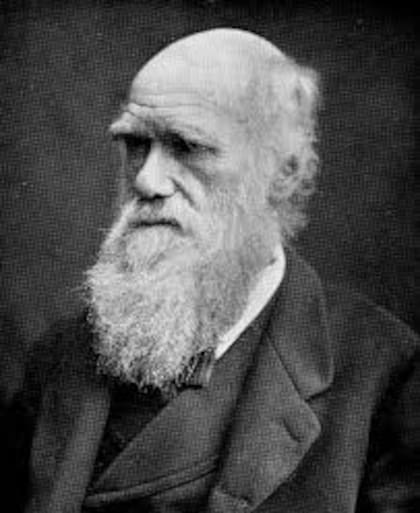 Esta discusión entre Darwin y Wallace llevaba más de 100 años