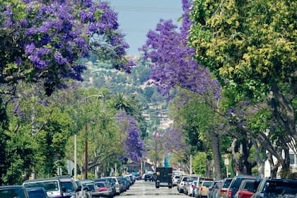 Esta época del año comienza oficialmente en California (y en todo el hemisferio norte) con el equinoccio de primavera