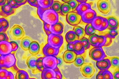 La transmisión de la Streptococcus pyogenes ocurre por contacto cercano con una persona infectada y puede transmitirse a través de la tos, los estornudos o el contacto con una herida