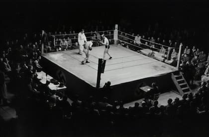 Esta es la cartera preliminar de boxeo para este sábado 14