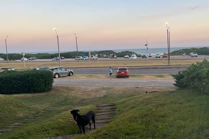 Esta es la vista al mar que tiene la casa
