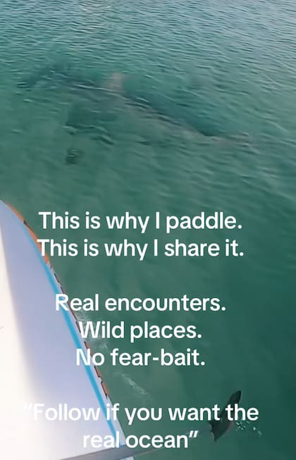 Esta es una de las imágenes que el explorador de Miami compartió