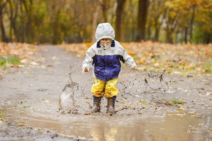 Esta etapa es crucial en el desarrollo de su sistema inmunológico. Te contamos los motivos.