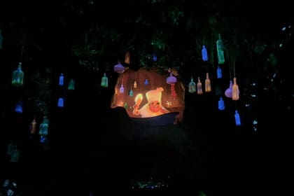 Esta experiencia acuática busca rendir homenaje a la cultura del bayou de Luisiana. Foto: X/Canva.