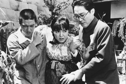 Esta exposición se enmarca en una larga tradición de cooperación entre Argentina y Japón en la promoción de la paz