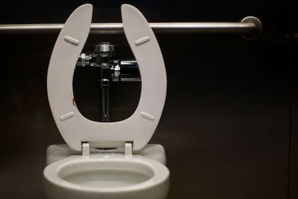 Esta forma en los inodoros solo se encuentra en baños públicos y no así en baños particulares