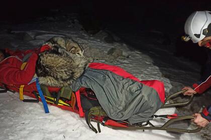 Esta fotografía proporcionada por el Servicio de Rescate de Montaña de Croacia muestra a un montañista con su perro durante un operativo de rescate en el monte Velebit, el sábado 1 de enero de 2022. (Servicio de Rescate de Montaña de Croacia vía AP)