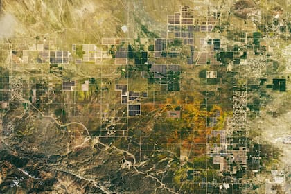 Esta fotografía, tomada el 7 de abril, muestra que las flores de color amarillo dorado prevalecen en la región