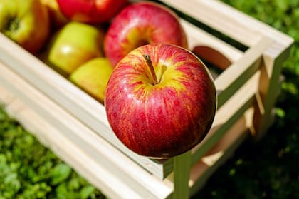 Esta fruta genera saciedad y ayuda a mantener un peso adecuado (Pexels/Pixabay)
