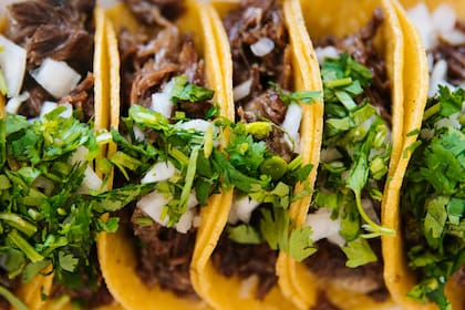 Esta hierba es utilizada ampliamente en la cocina latinoamericana