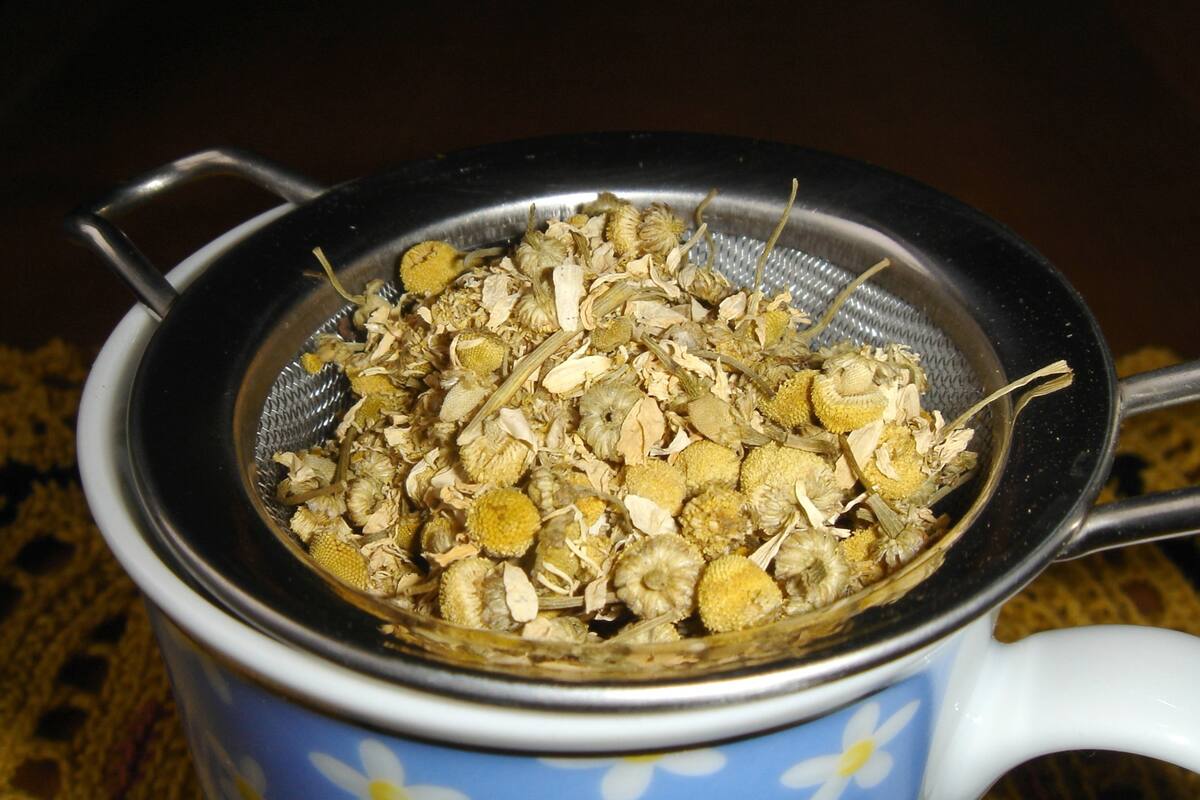 Esta hierba tiene propiedades digestivas, refrescantes y calmantes