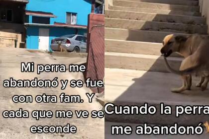 Esta historia se hizo viral en redes sociales (Foto: Instagram @greciaresses)