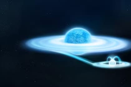 Esta ilustración artística que representa la masiva estrella gamma-Cas y su pequeña pero densa compañera enana blanca. — Foto: ESA/Y. Nazé