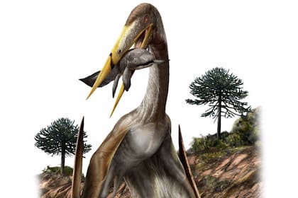 Esta ilustración muestra la interpretación de un artista de un pterosaurio (Alanqa saharica)
