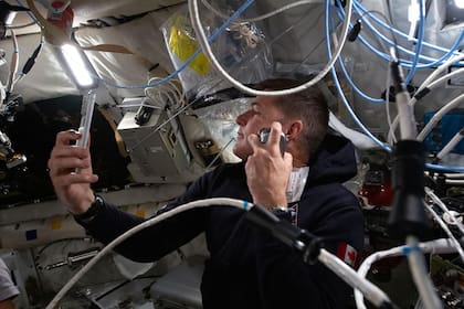 Esta imagen distribuida por la NASA muestra al especialista de misión de Artemis II y astronauta de la Agencia Espacial Canadiense, Jeremy Hansen, afeitándose dentro de la nave Orion durante el quinto día de vuelo