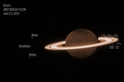 Esta imagen fue tomada como parte de la Observación de Tiempo Garantizado de Webb Programa 1247. El programa incluyó varias exposiciones muy profundas de Saturno, que fueron diseñadas para probar la capacidad del telescopio para detectar lunas débiles alrededor del planeta y sus anillos brillantes. (NASA, ESA, CSA, Matthew Tiscareno (Instituto SETI), Mateo Hedman (Universidad de Idaho), Maryame El Moutamid (Universidad de Cornell), Marcos Showalter (Instituto SETI), Leigh Fletcher (Universidad de Leicester), Heidi Hammel (AURA))