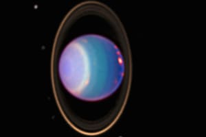 Esta imagen muestra a Urano rodeado de sus cuatro anillos principales y 10 de sus lunas. Se le agregaron colores para mostrar las diferentes altitudes (FOTO: ARCHIVO spaceplace.nasa.gov)
