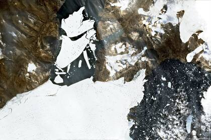 Esta imagen satelital capturada el 27 de agosto de 2020 por la misión Copernicus Sentinel-2 y publicada por la Agencia Espacial Europea (ESA) muestra el hielo que se desprende del glaciar Nioghalvfjerdsfjorden en el noreste de Groenlandia