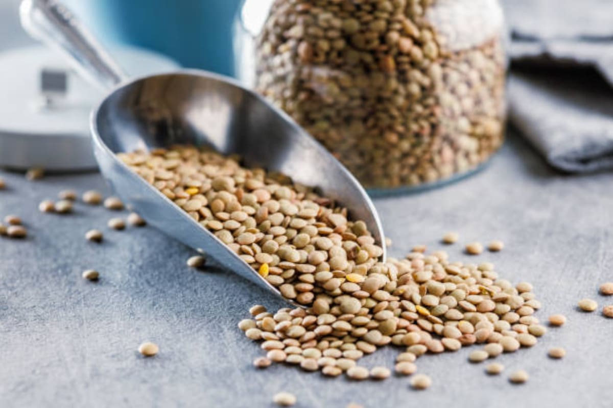 Esta legumbre se caracteriza por su composición basada en proteínas vegetales, vitaminas, minerales e hidratos de carbonos.
