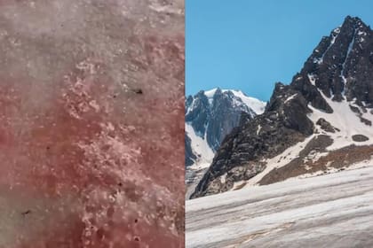 Esta manifestación ocurrió en la masa de hielo de Akturu, ubicada en la montaña de Altái (Foto: YouTube: TomskUniversity, captura de pantalla)