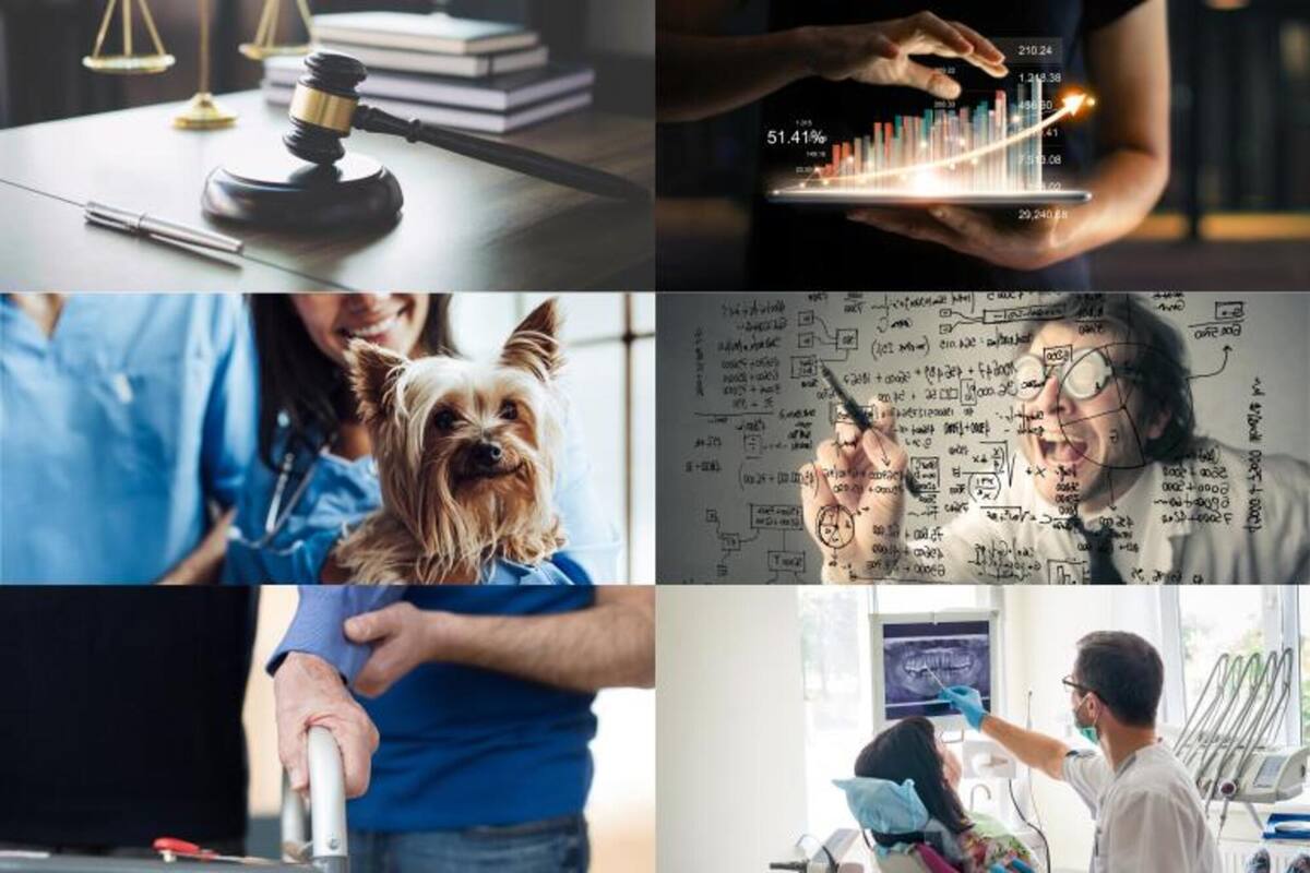 Esta nueva década propone, entre otras cosas, nuevos retos para las futuras generaciones. En el plano académico-laboral se han gestado en los últimos años carreras emergentes que le apuestan a la creación, regulación y adaptación de las nuevas tecnologías. Otros espacios de aprendizaje han aceptado