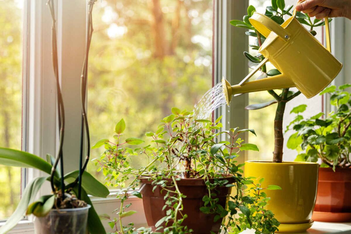 Esta nueva técnica de imágenes será una herramienta vital para la detección y el monitoreo de atención médica