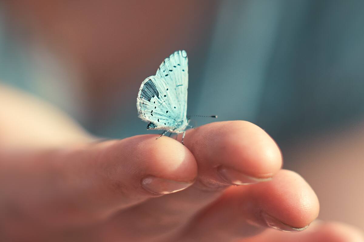 Esta nueva tinta está constituida por dos materiales que no tienen pigmento: el aluminio y el óxido de aluminio. Así, el tono percibido a los ojos humanos depende de su formato y tamaño a una escala a nanométrica