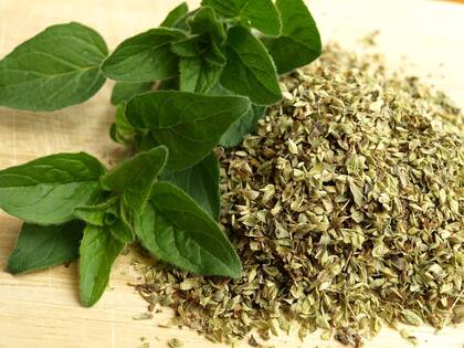 Esta planta aporta múltiples beneficios para la salud del cuerpo humano (Pixabay/ariesa66)