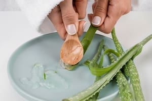 Esta planta tiene usos cosméticos muy extendidos (Foto: Freepik)