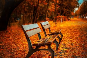 Está por comenzar el otoño (Foto de carácter ilustrativo: PIXABAY)