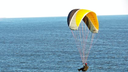 Está prohibido hacer paracaidismo en las zonas de avistamiento de ballenas (Foto: Unsplash)