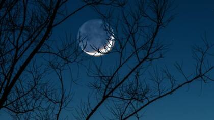 Esta semana habrá Luna nueva en Virgo