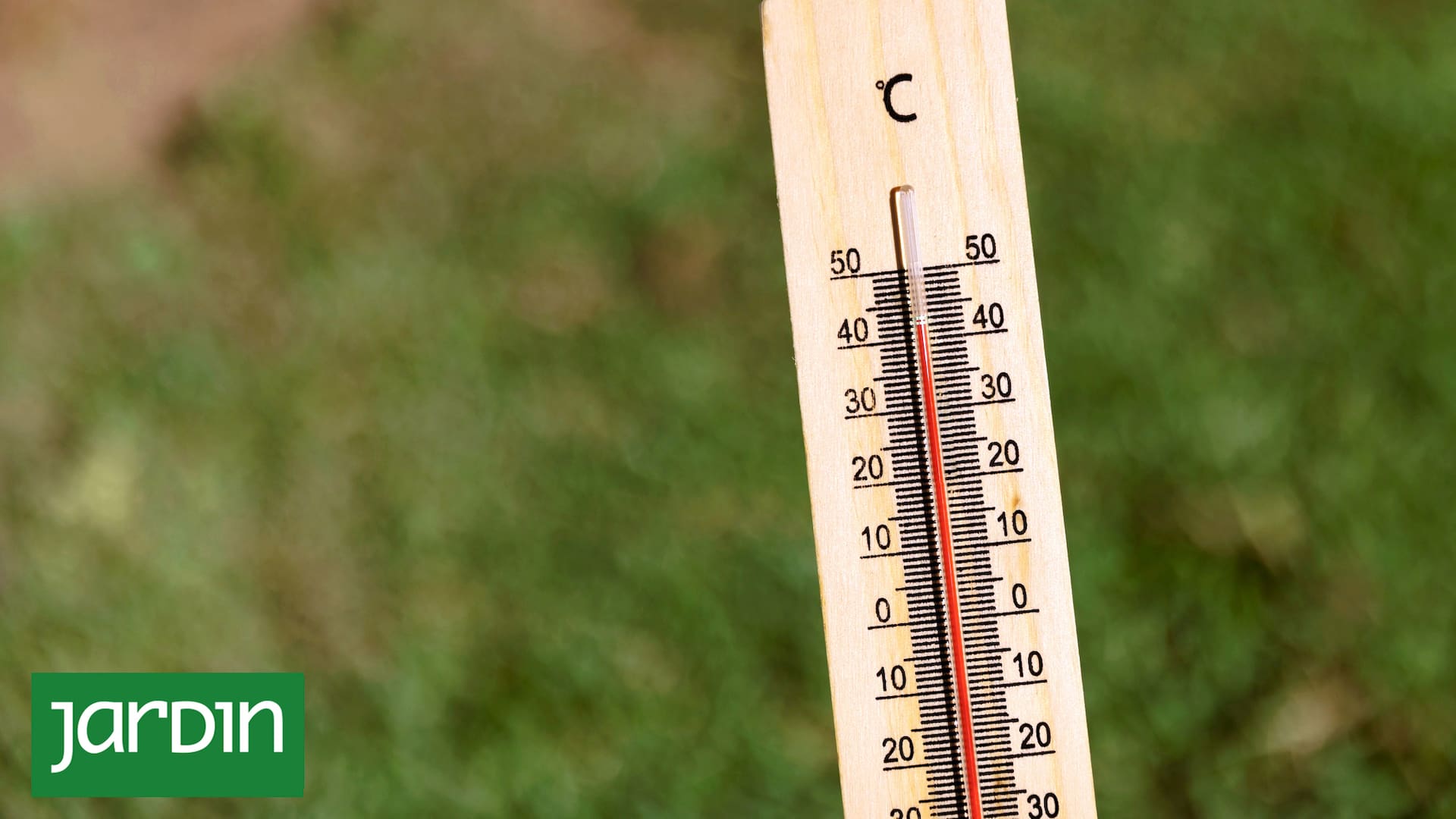 Esta semana las temperaturas superaron los 30 grados en la Ciudad de Buenos Aires.