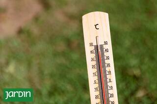 Formas de evitar que las plantas sufran cuando hace tanto calor en invierno