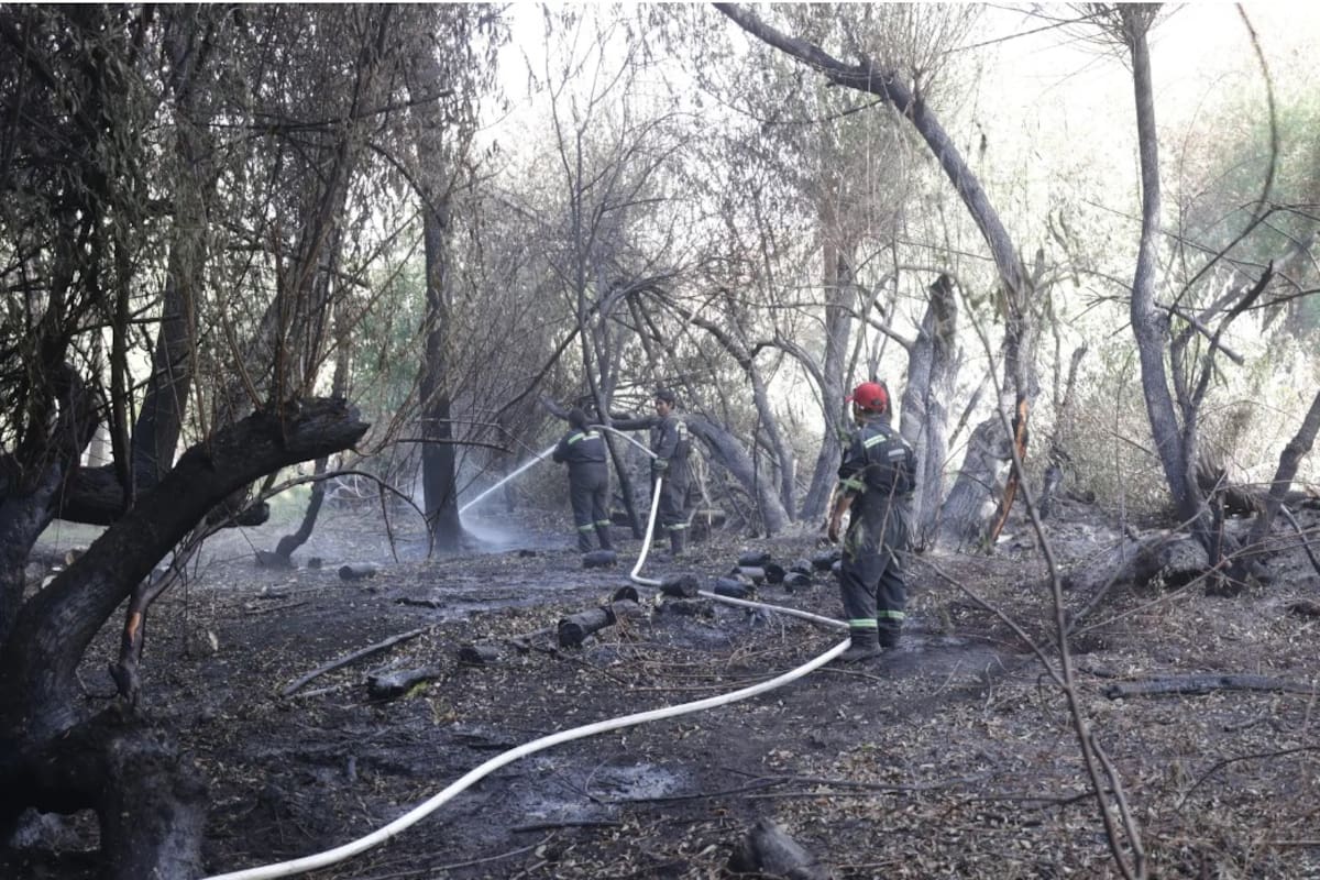 Esta tarde los brigadistas seguían trabajando sin descanso para sofocar los nuevos focos de fuego que se activaron anoche en El Bolsón