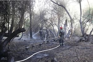Esta tarde los brigadistas seguían trabajando sin descanso para sofocar los nuevos focos de fuego que se activaron anoche en El Bolsón