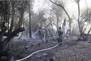 A pesar de los esfuerzos, ya se perdieron 3300 hectáreas de bosque en El Bolsón