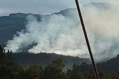Esta tarde se combatían fuegos forestales en el Parque Nacional Los Alerces