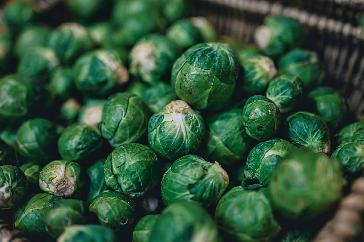 Esta variedad de col es perteneciente a la familia de las crucíferas y es hermana del repollo, brócoli, coliflor, nabo y rábano, entre otros
