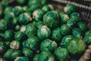 Esta variedad de col es perteneciente a la familia de las crucíferas y es hermana del repollo, brócoli, coliflor, nabo y rábano, entre otros