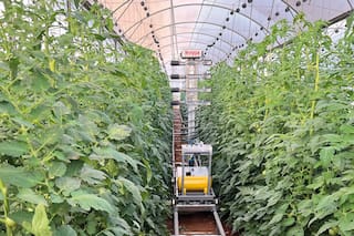 Cómo hace un país en guerra para continuar con su producción de alimentos