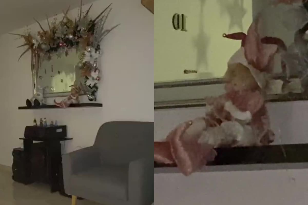 Estaba en su living, un juguete comenzó a moverse solo y mostró la situación con terror