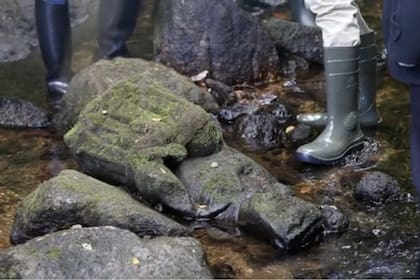 Estaba pescando y realizó un asombroso descubrimiento arqueológico